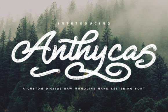 Anthycas Review: A Bold Script for Modern Brand Identity