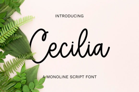 Cecilia Font Review: A Graceful Script for Branding