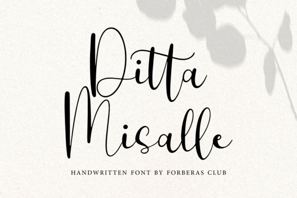 Ditta Misalle Font Review: Elegant Script for Branding