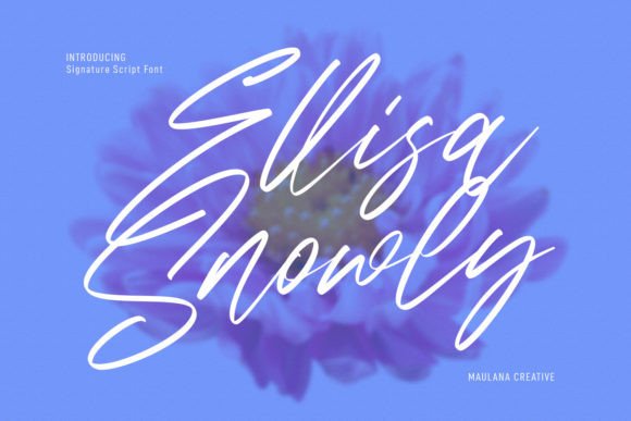 Ellisa Snowly: A Delicate Script Font for Web Headers