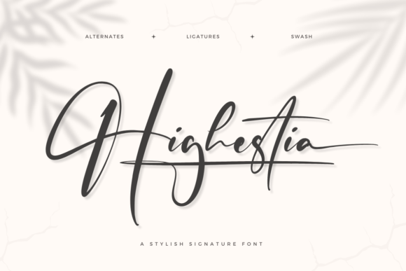 Highestia Font Review: Elevating Campaign Visuals